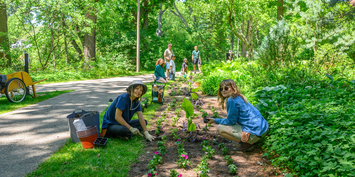 People planting flowers