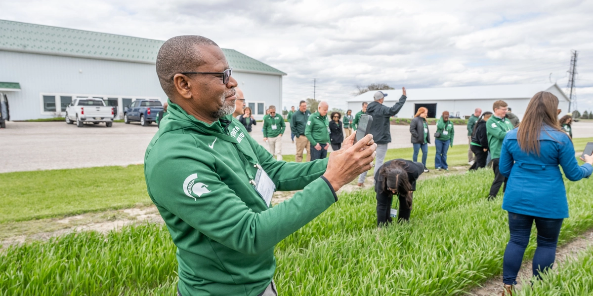 A person in a Michigan State University half-zip takes a photo of wheat growing in its early stages