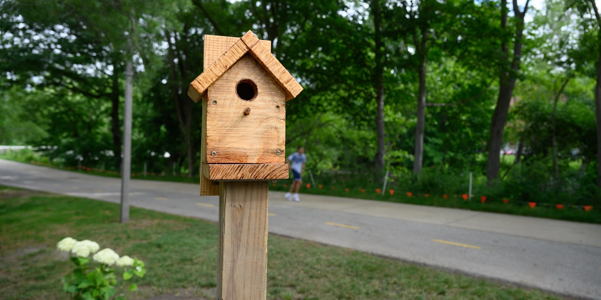 Wooden birdhouse