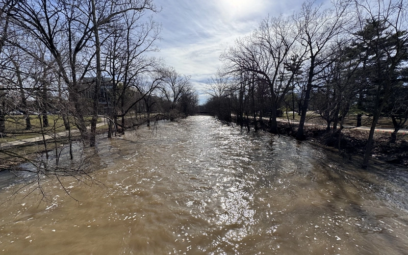 View looking downstream along the Red Cedar River on Michigan State University’s campus. The brown, fast-moving water is higher than normal and has spread into low areas along the banks, surrounding several trees near campus sidewalks and open green space.