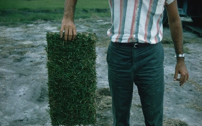 A man stands holding a strip of turfgrass up to show the camera.