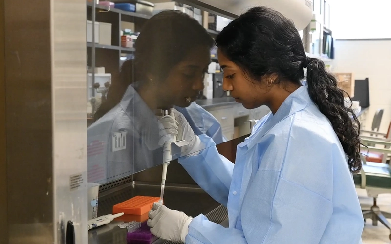 Student in lab coat using pipette at biosafety cabinet during research activity.
