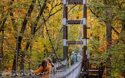 People crossing a suspension bridge surrounded by autumn trees.