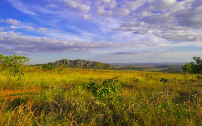 Cerrado of Brazil