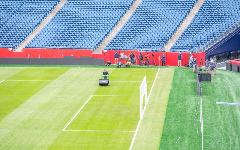 Image 42 MSU turfgrass FWC26.jpg