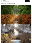 Screenshot of X post from Michigan State University. It shows the Red Cedar River in all four seasons.