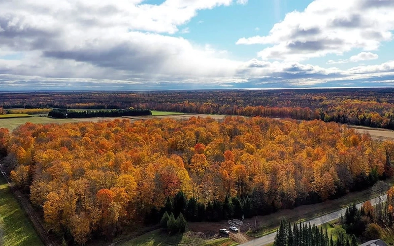 MSU Forestry Innovation Center