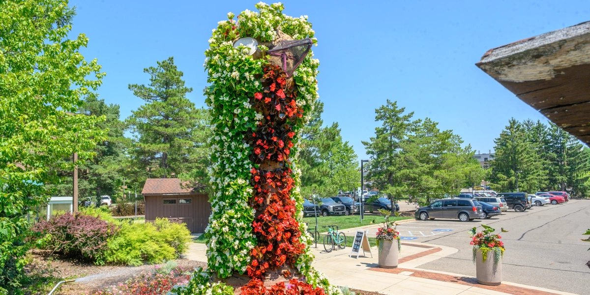 A peacock made of flowers outside the 4H gardens