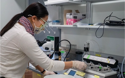 A researcher works in a lab.