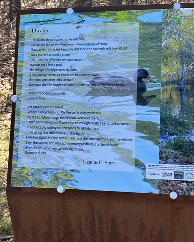 Ducks poem on a plaque at the wetlands