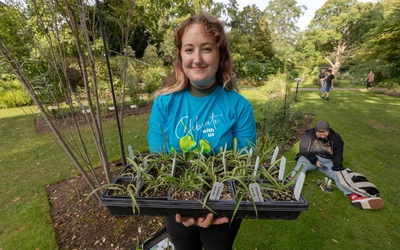 A smiling student holds a tray of small spider plant propagations in a botanical garden.