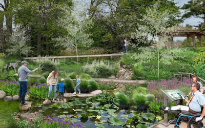Architectural rendering of people exploring a pond area at Beal Botanical Garden.