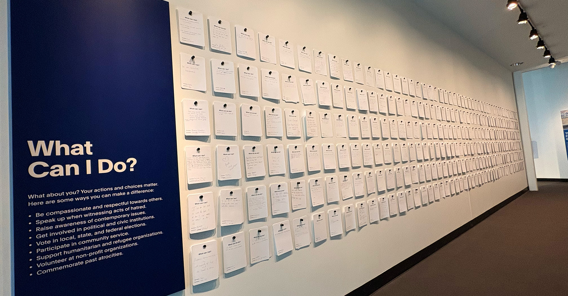 Photo of a What can I do? display featuring notes of responses along the length of a wall