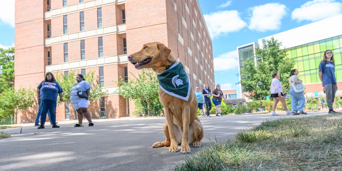 Zeke the Wonder Dog on campus