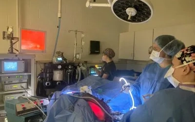 Three veterinarians stand around a surgical table looking up at a screen in a hospital room.
