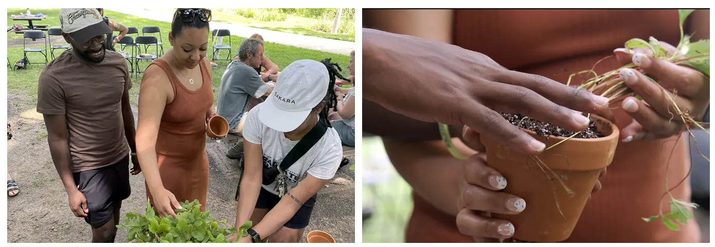 The Earthseed Project at MSU