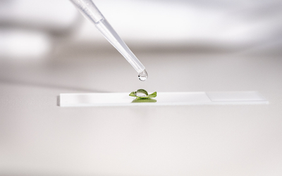 natural-science-lab-test.jpg