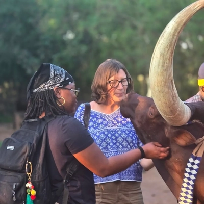 Two women pet a large brown cow with long, curved horns at the King’s Palace Museum in Rwanda.
