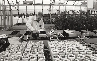 Historical photo of man in a greenhouse working on seedlings.