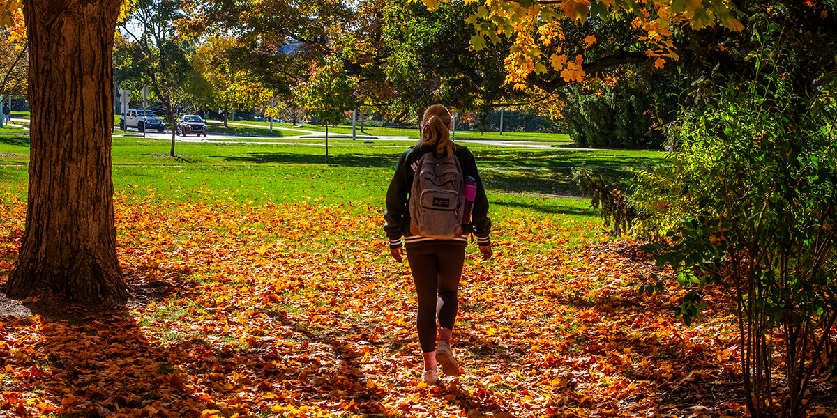 Autumn leaves and student silhouette on an autumn day.