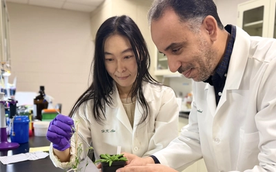 Researchers examine plants in a lab.
