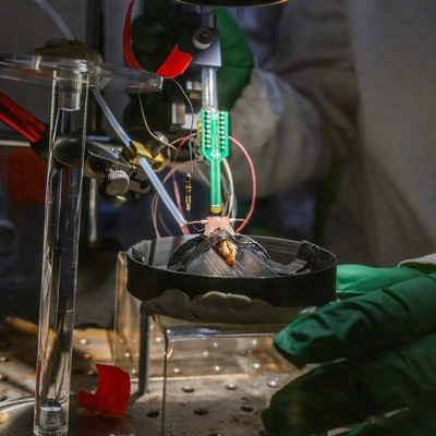 Researcher in a lab coat and green gloves adjusts equipment during the experiment.