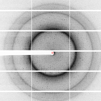 an X-ray diffraction pattern is captured from a tiny crystal containing an allergen bound to an antibody.