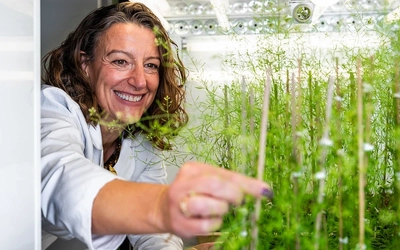 Researcher in a lab coat examines small green plants