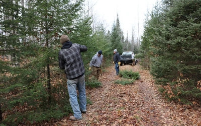 Three people in jackets and winter hats inspect fir trees along a trail with a truck up ahead of them
