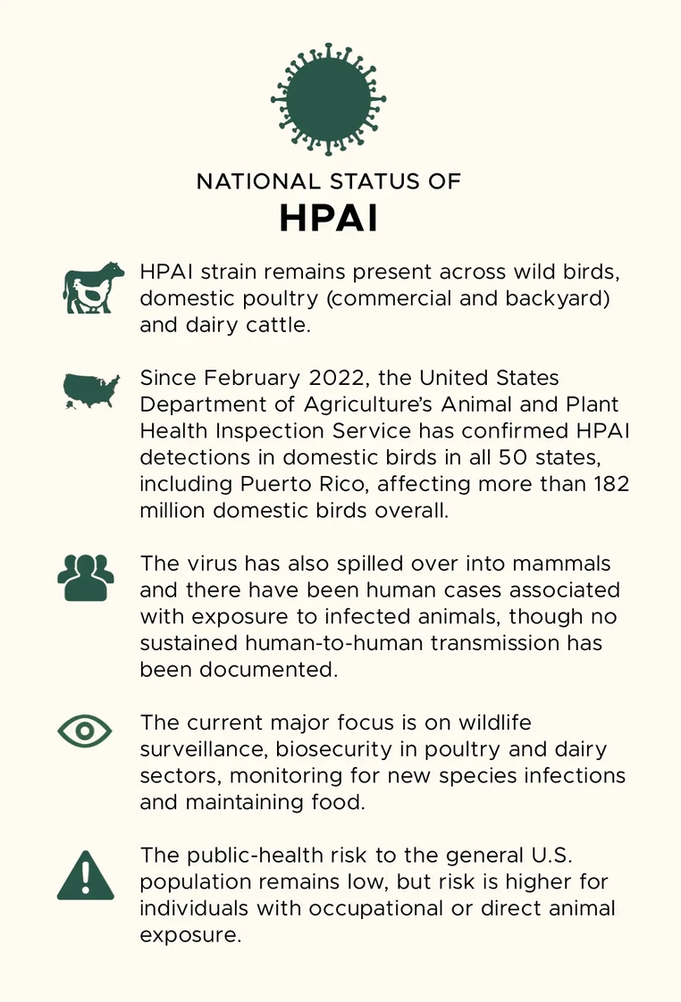 Infographic summarizing U.S. HPAI status, transmission, and surveillance focus.