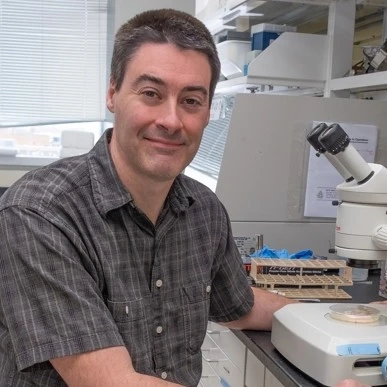 EEB core faculty member Chris Waters sits at a microscope.