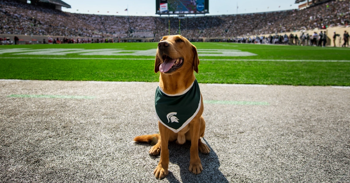 Zeke the Wonderdog: A legacy that endures | MSUToday | Michigan
