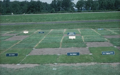 An image that depicts plots of land containing different sections of turfgrass.