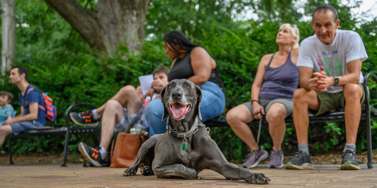 Dog and people sitting near Beaumont Tower during concert