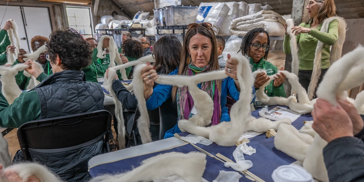 A group of people pulls apart white wool spools