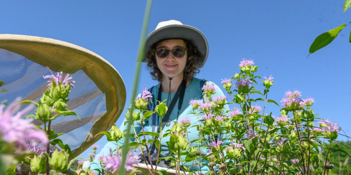 Rebecca Nelson looks at prairie flowers