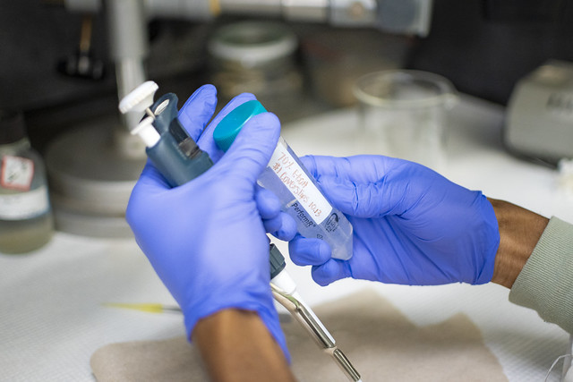 Tubes containing samples in a lab.