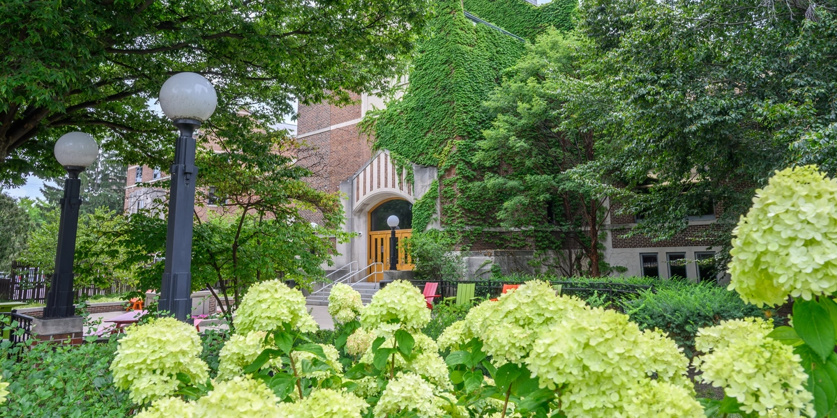 Hydrangea blossoms frame the view of the MSU Union North entrance