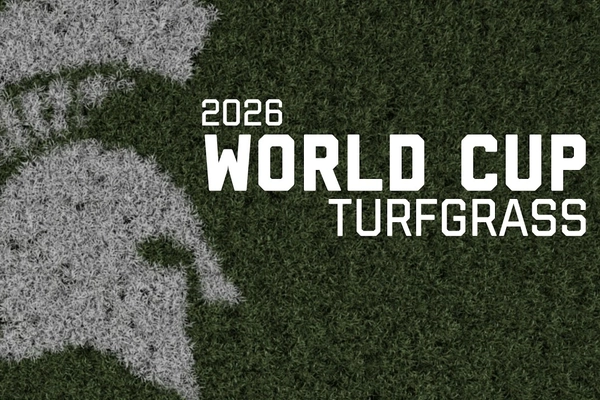 Image of a white Spartan helmet design on grass, with text "2026 World Cup turfgrass"