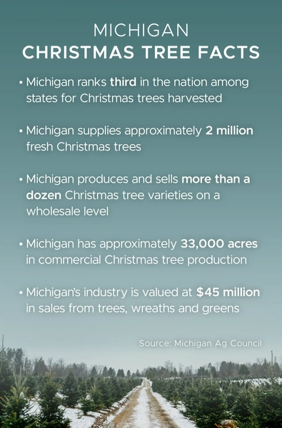 A graphic of key facts about Christmas tree production in Michigan.
