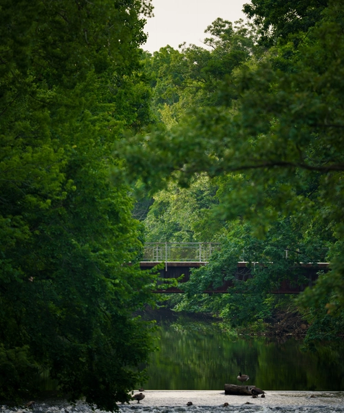 The Red Cedar river framed by trees with a sunrise in the distance