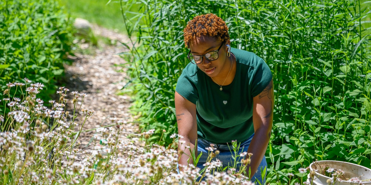 A Beal intern working in the garden
