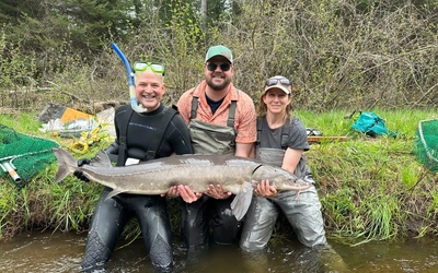 three people holding an adult sturgeon