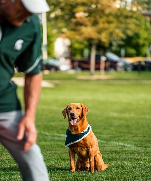Zeke sitting on the field.