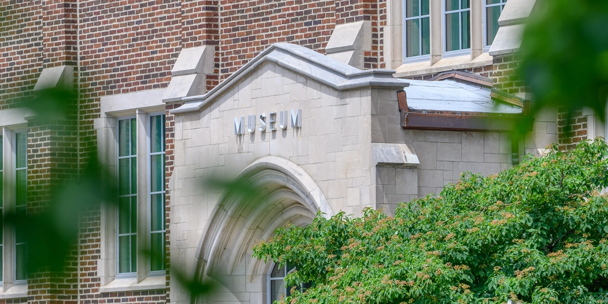 MSU Museum framed by summer leaves