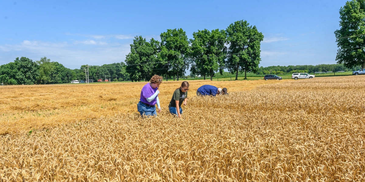 Researchers working in field