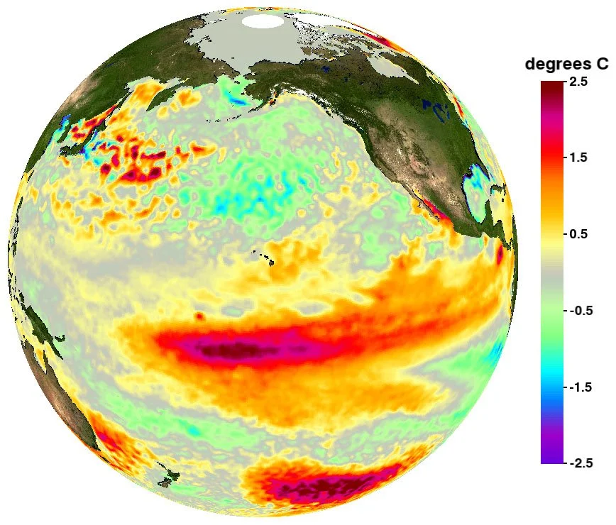 A graph showing a marine heat wave in the Pacific Ocean on the earth through color, accompanied by a key to the right that explains what the different colors mean regarding temperature.