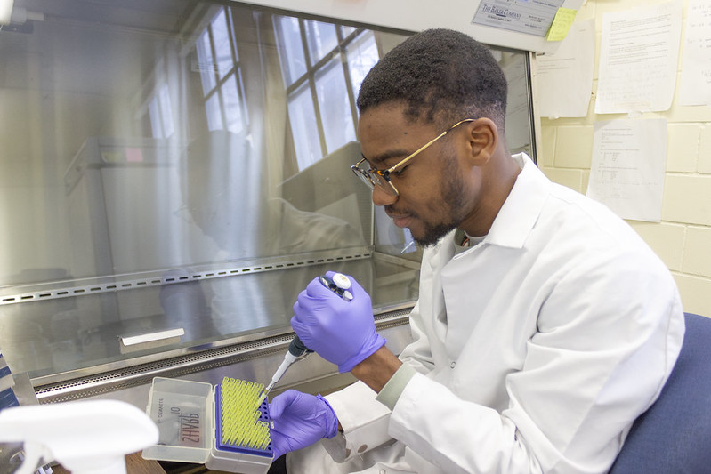 Benjamin Nketsiah with samples in the lab.