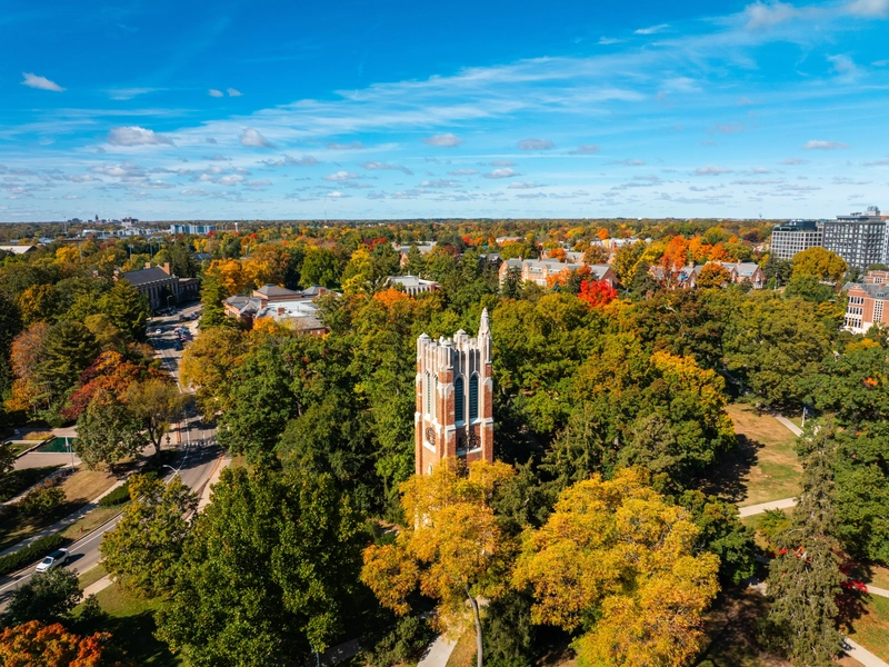 End User add new alt text here