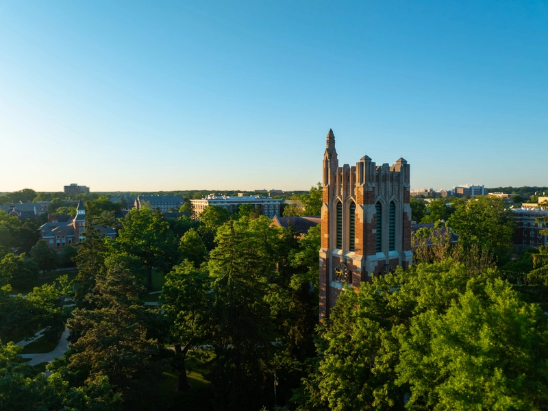 End User add new alt text here